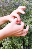 ineinander-gehakte-zeigefinger-und-daumen